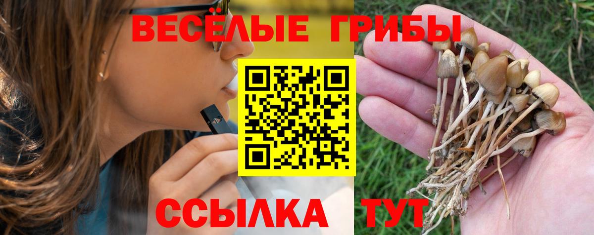 Ачхой-Мартан  Галлюциногенные грибы GOLDEN TEACHER  Вход с VPN 